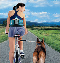 WalkyDog: a bicycle dog leash that attaches to a bike's frame!